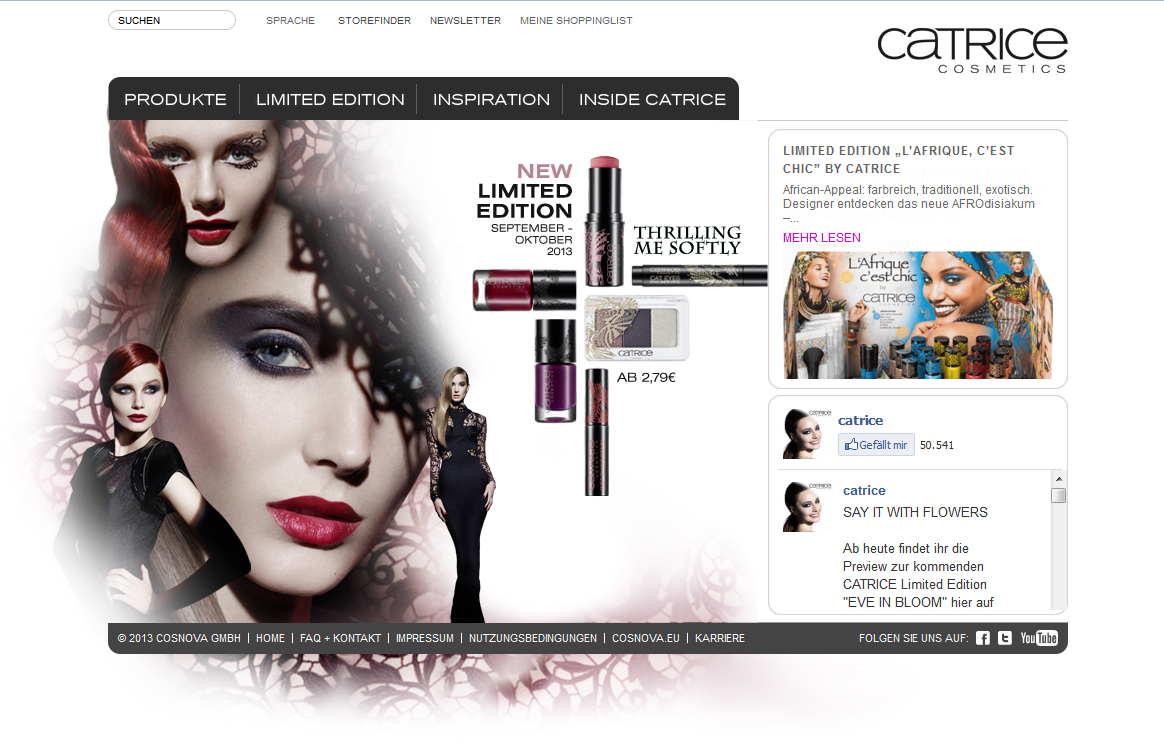 cat_THRILLING_startseite_030913